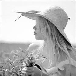 һܲƾ:ծȯͨƿɴ йڿһ