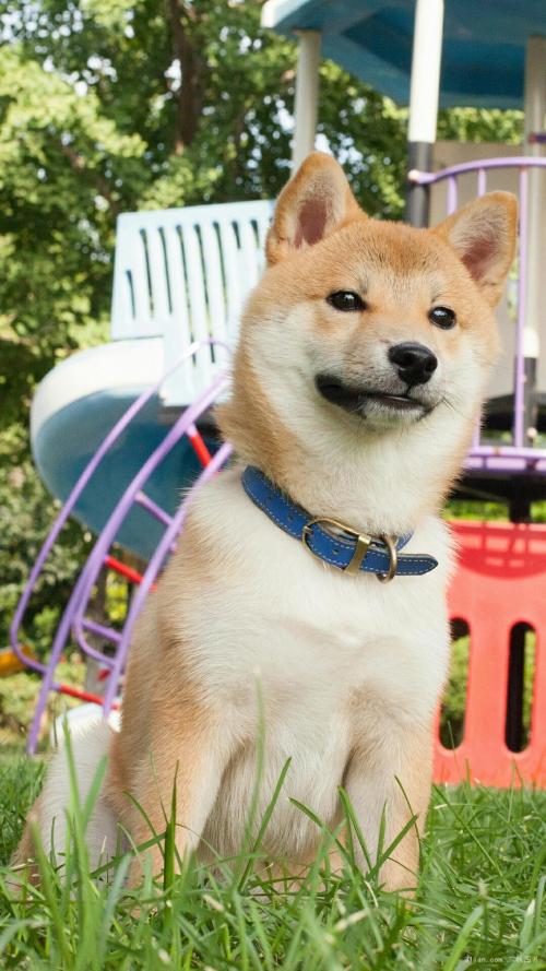 쳡⻹30 ũҪɷһɷˡ